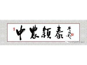 2021年：工作動(dòng)態(tài)，中農(nóng)穎泰工會(huì)順利換屆